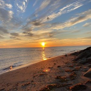 🇨🇦Meet your Posher, Janelle🇨🇦